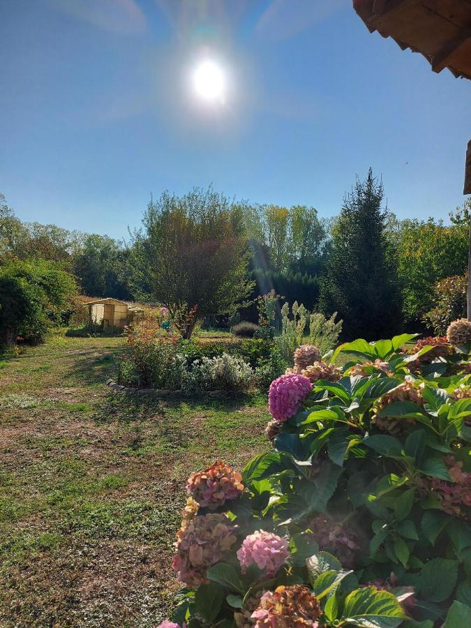 Le Moulin De L'Etang Hotel Chaneins Bagian luar foto