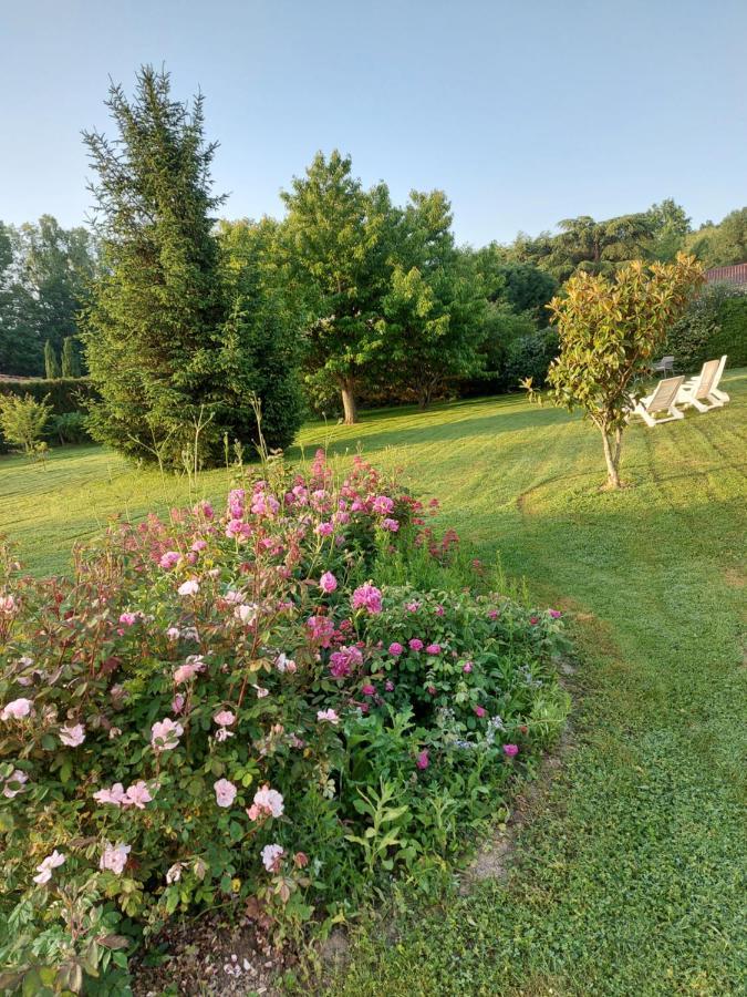 Le Moulin De L'Etang Hotel Chaneins Bagian luar foto